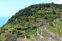 Corniglia (12)